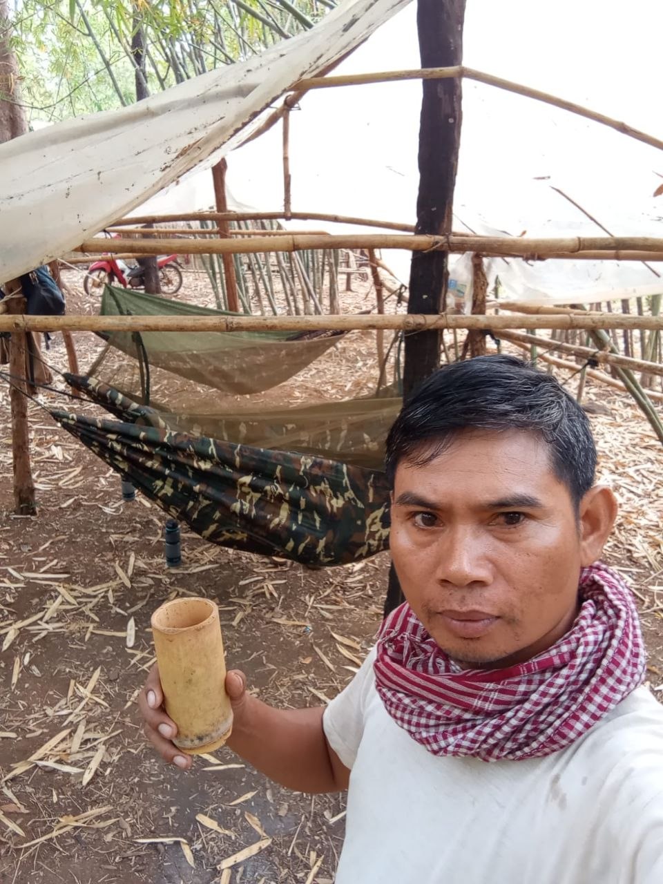 Jungle Camping