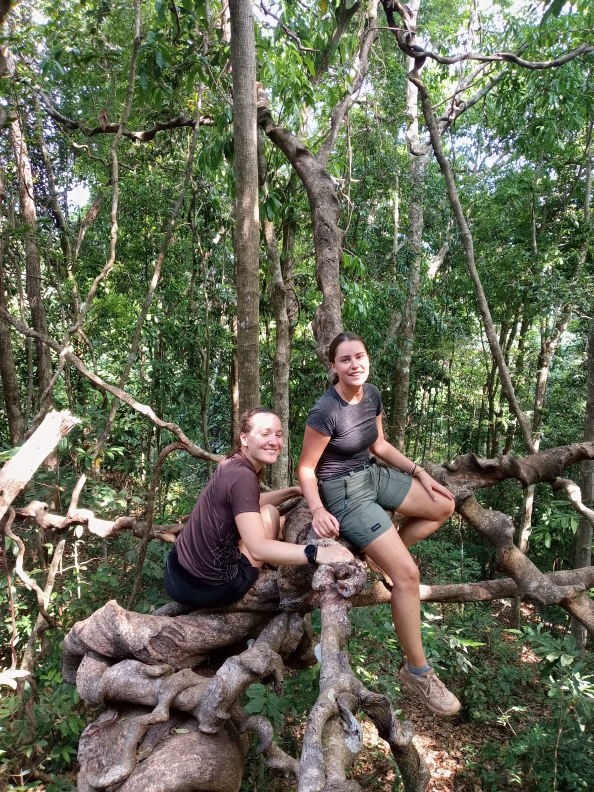 Jungle Camping