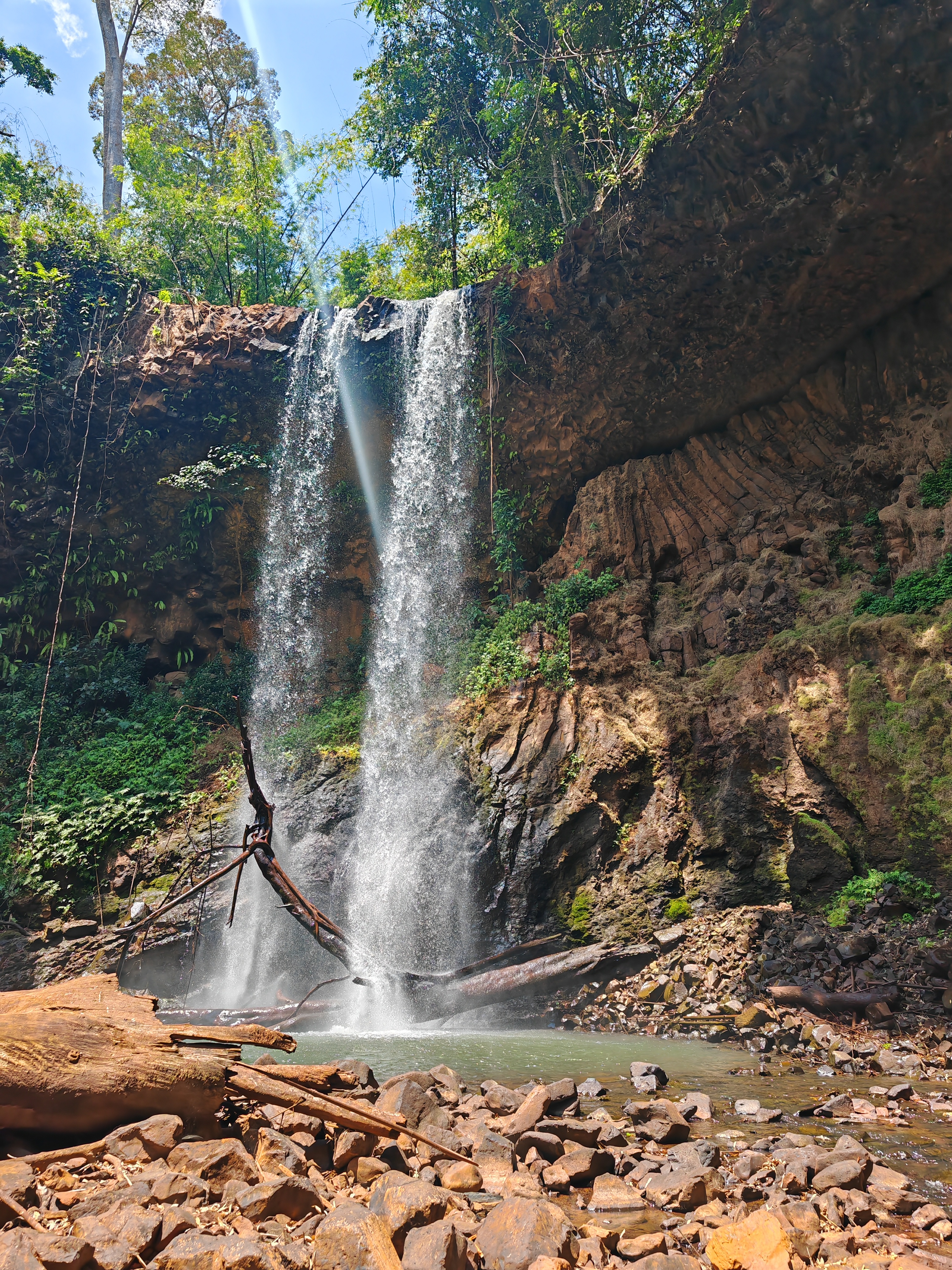 Jungle Camping