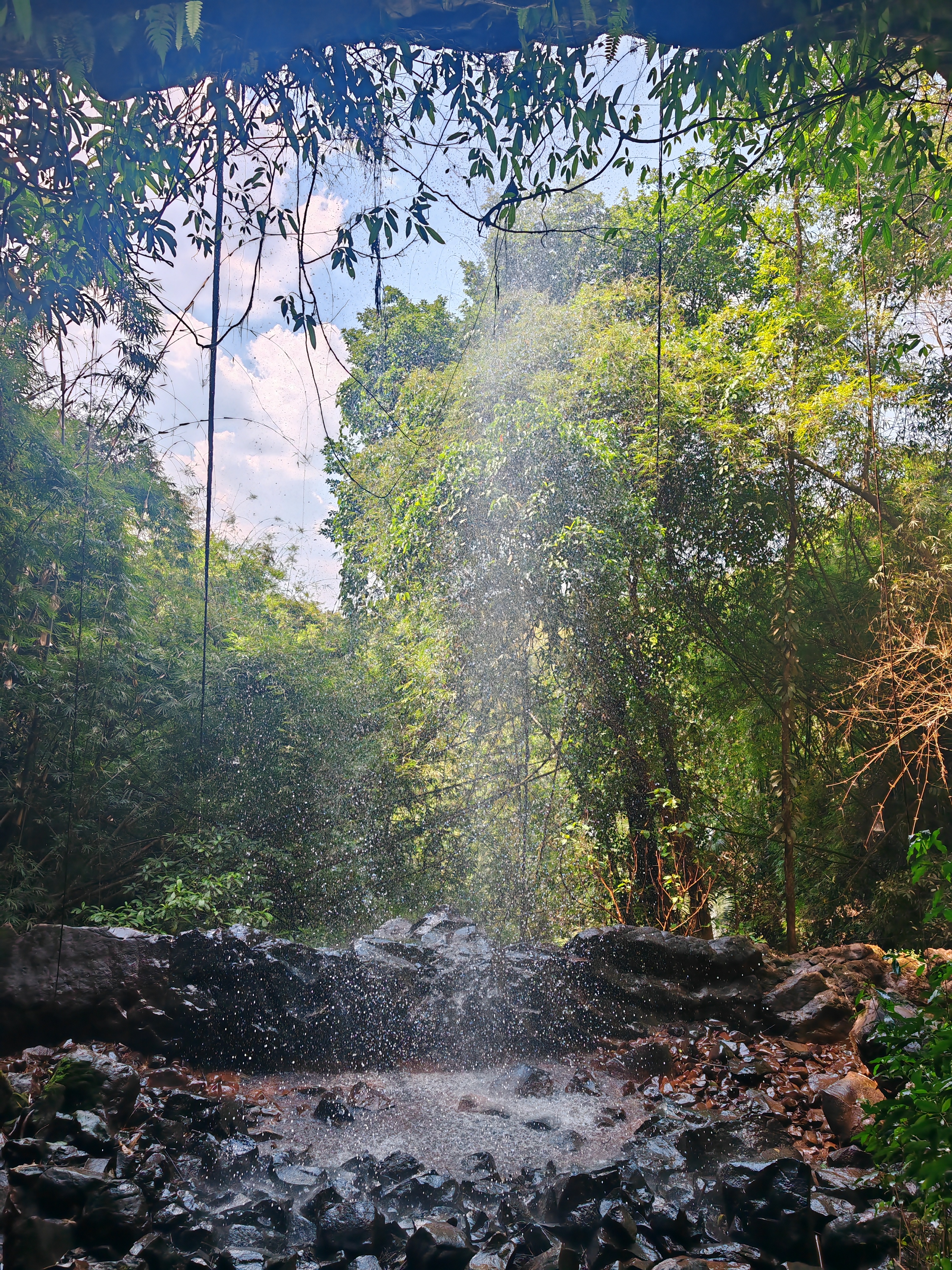 Jungle Camping