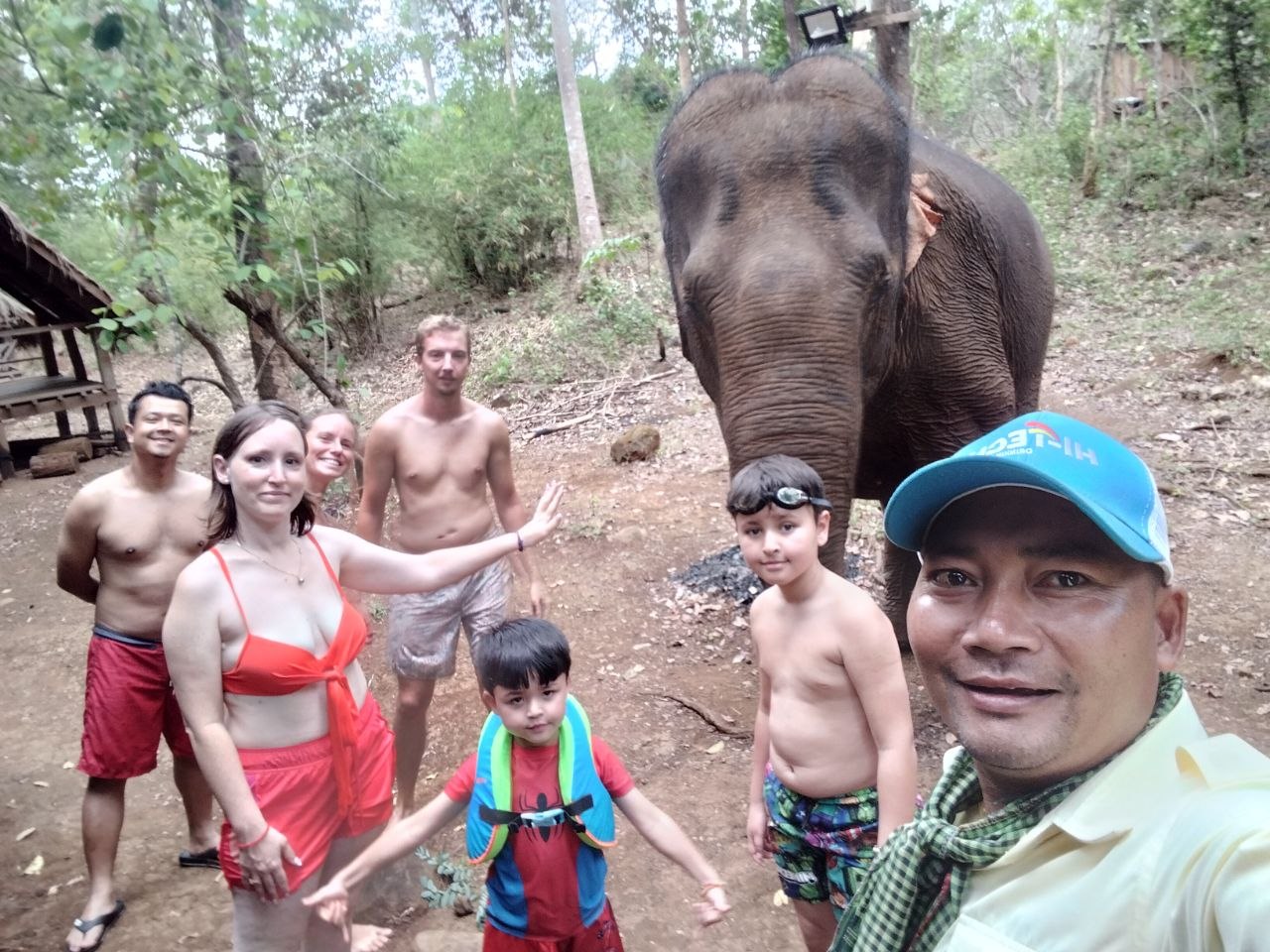 Elephant Encounter