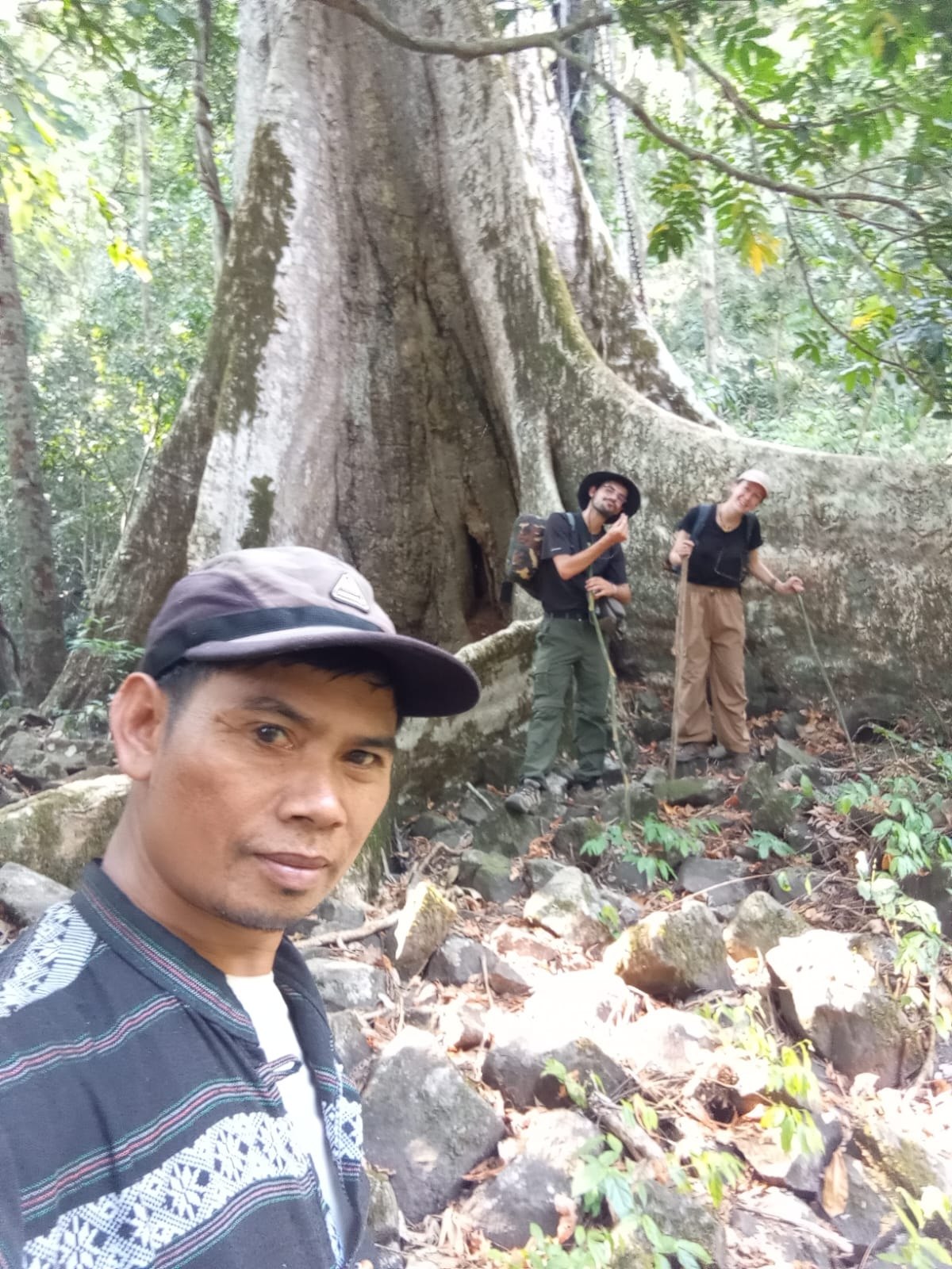 Jungle Trekking