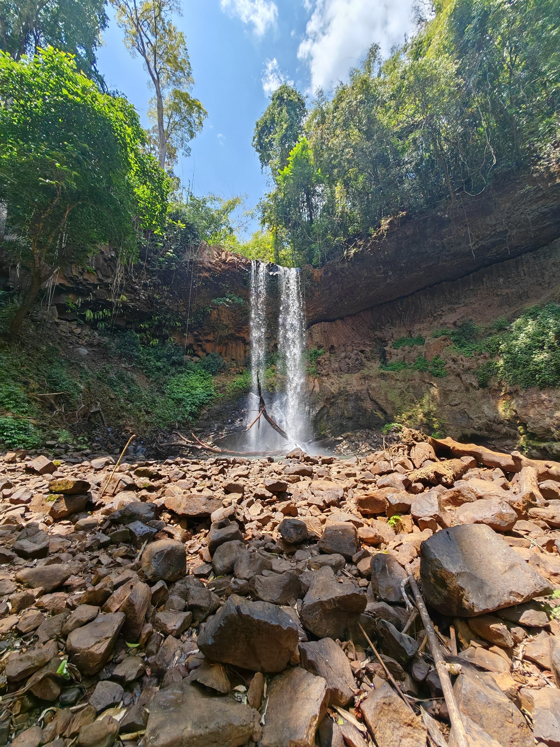 Jungle Trekking