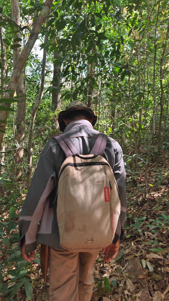 Jungle Trekking