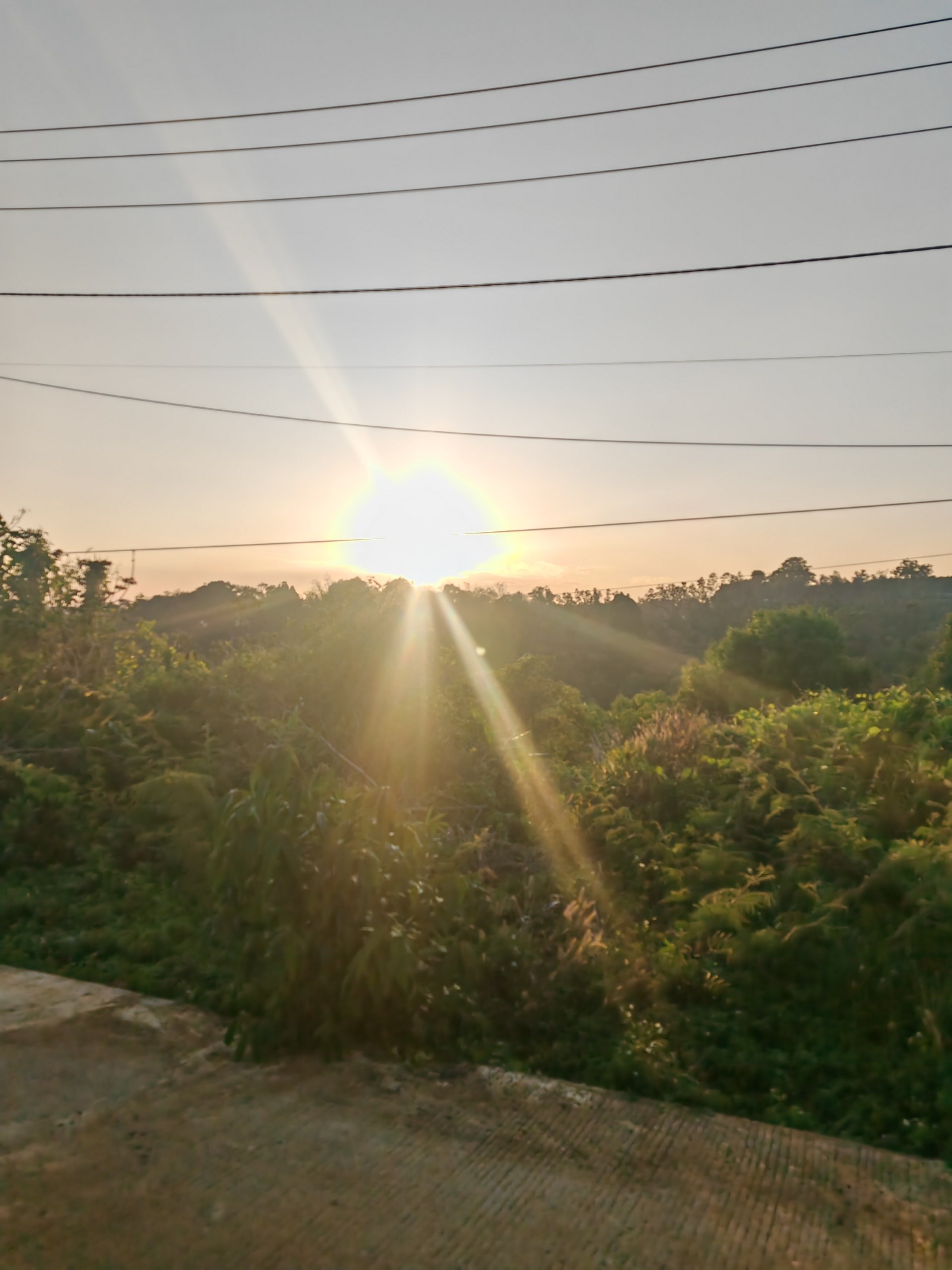 Panoramic Tour